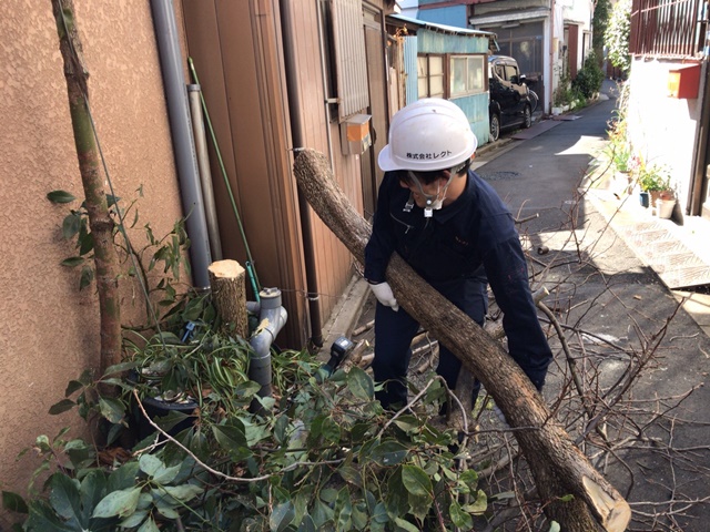 東京都江東区亀戸の樹木伐採撤去処分中の様子です。